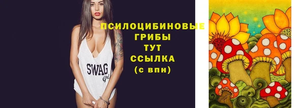 ПСИЛОЦИБИНОВЫЕ ГРИБЫ Алексин