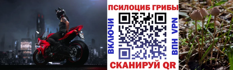 Псилоцибиновые грибы ЛСД  наркотики  кракен как войти  Енисейск 
